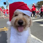 Kathy Dryden - @hi_kdry - Instagram