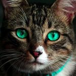 Kathy Duff - @kaduff050 - Instagram