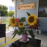 Kathy Duff - @northduffs - Instagram