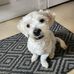 Kathy Duffy - Facebook