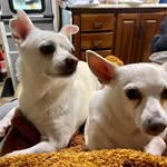 Kathy Dunning - @kathy14527 - Instagram