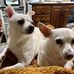 Kathy Dunning - Facebook