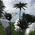 Kathy Dunning - Facebook