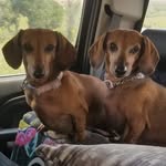 Kathy Dunning - @katydid12345 - Instagram