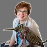 Birds of Encouragement - @kathydurrett - Instagram