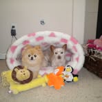 Kathy Dutra - Facebook