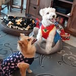 Kathy Eanes - @kathy.eanes.79 - Instagram