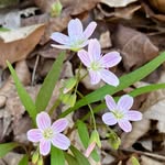 Kathy Earle - @earlekathy - Instagram