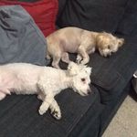 Kathy Earle - @grandmaearle - Instagram