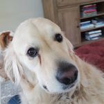Kathy earle - @kathytearle1955 - Instagram