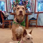 Kathy Earley - @kathy.earley.5 - Instagram