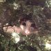 Kathy Guido Earle - Facebook
