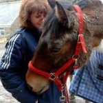 Kathy East - @hylda80 - Instagram