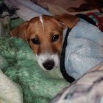 Kathy East - @eekranch44 - Instagram