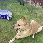 Kathryn Eastham - Facebook