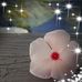 Kathy Eaves - Facebook