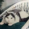 kathyreaves - @kathyreaves - TikTok