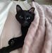 Kathy Eberhardt - Facebook
