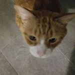 Kathy Eberhardt - @kathy.eberhardt.351 - Instagram