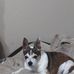 Katherine Ebersole - Facebook