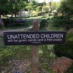 Kathy Eckert - @kathy.eckert - Instagram