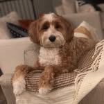 Kathy Eichelberger - @mahvelousmillie - Instagram