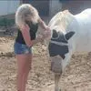 Kathy Poellinger - @kathy.poellinger - TikTok