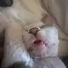 Kathie Ellsworth - @kathieellsworth - TikTok