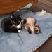 Kathy Ellsworth - Facebook