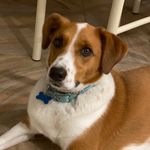 Kathy Ellsworth - @kathy.ellsworth.39 - Instagram