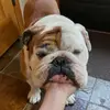 Katie Ellsworth - @katie.ellsworth0 - TikTok
