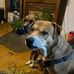 Kathy Elswick - Facebook