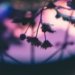 Kathy Elswick - @kathy.elswick.3 - Instagram
