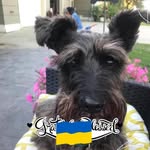 Kathy Enger Woodbury - @engerwoodbury - Instagram