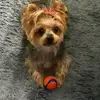 Kathy Wenger - @kathy.wenger - TikTok