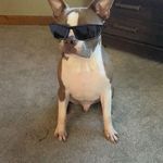 Kathy Wiley-Engler - @kaengler - Instagram