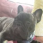 Kathy Ensor - @kfensor - Instagram