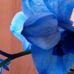 Kathy Ensor - Facebook