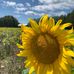 Kathy Isaac-Epp - Facebook