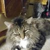 Kathy Rester765 - @kathyrester - TikTok