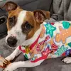 Kathy Wyley-Eustace - @kathy.wyleyeustac - TikTok