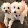 Kathy Everitt Kovacs - @kathy.everitt.kov - TikTok