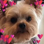 Kathy Griffin Everitt - @kathyeveritt2020 - Instagram