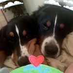 Kathy Everson - @kathy_everson - Instagram