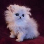 Kathy Fair - @kathylee530 - Instagram