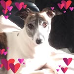 Kathy Fairhurst - @kathy.fairhurst.1 - Instagram