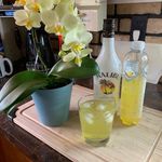 Kathy Falconer - @falconerkathy - Instagram