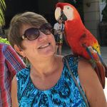Kathy Fall - @fall_kathy - Instagram