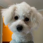 Kathy Fall - @katfall - Instagram