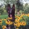 Kathy Falli - @kathy.falli - TikTok
